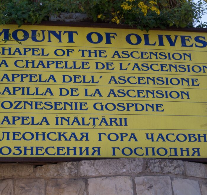 mount-of-olives mount olives holy land pilgrimage tour