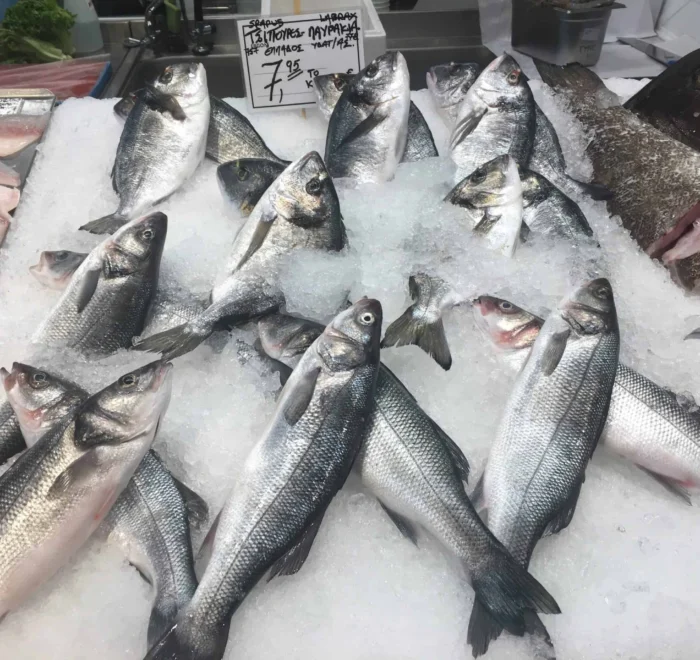 fish fish-market food pilgrimage tour