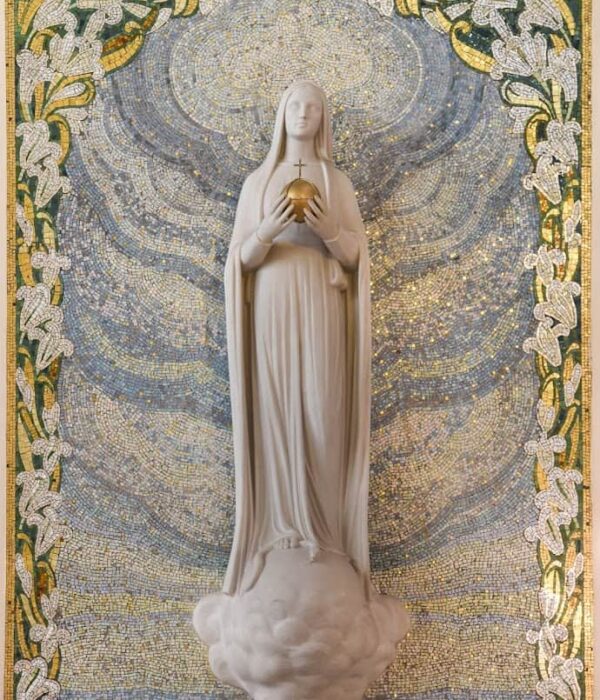 Brasileiro em Paris-Leandro Dias (28 de 157) miraculous-medal france pilgrimage tour