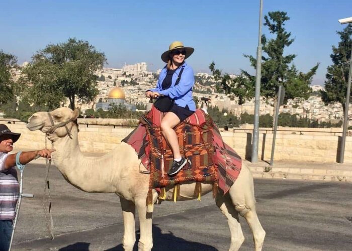 Jerusalem-camel Camel in Jerusalem holy land pilgrimage