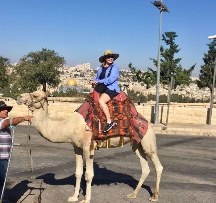 Jerusalem-camel Camel in Jerusalem holy land pilgrimage