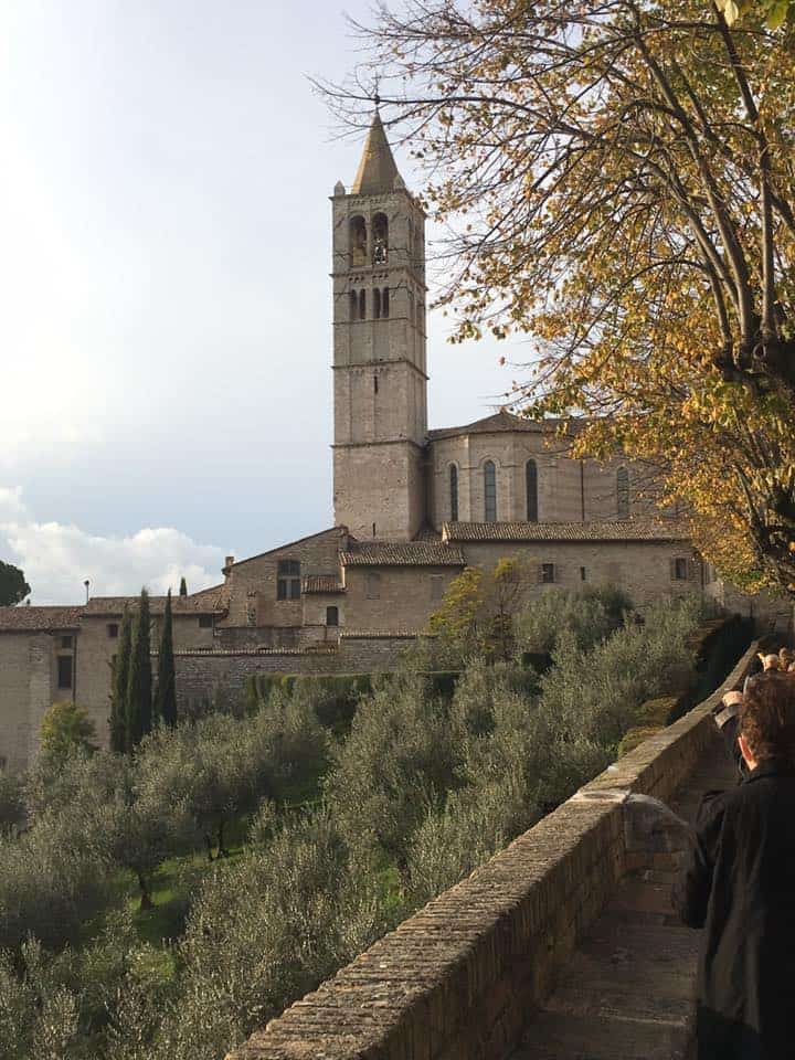 St-Clare-Basilica-Assisi-pilgrimage St Clare Basilica Assisi italy pilgrimage tour