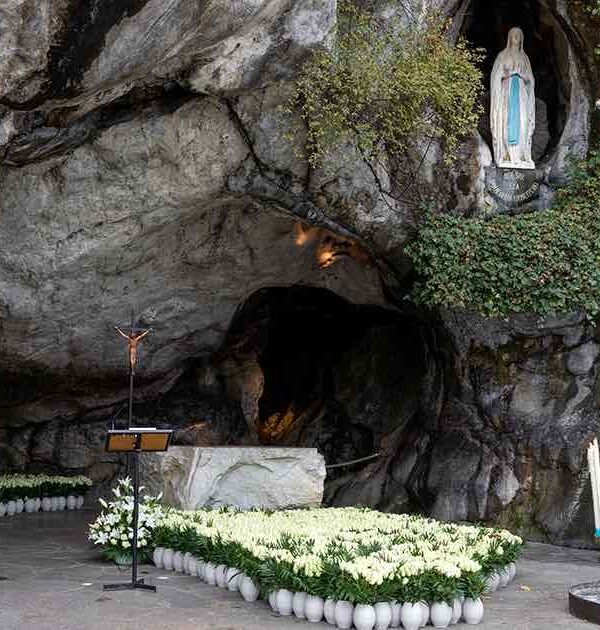 lourdes-grotto-flowers-pilgrimage lourdes grotto with white roses flowers pilgrimage tour