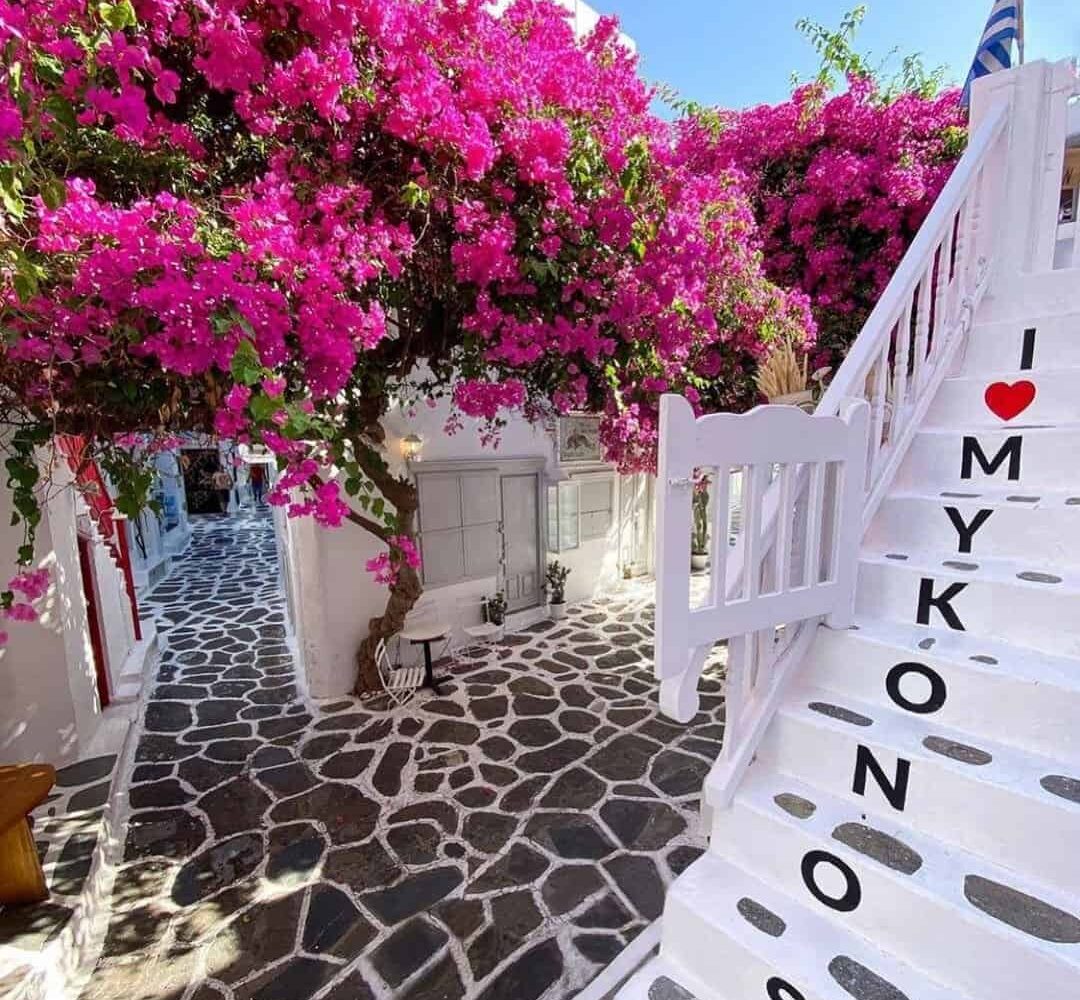 mykonos-flowers-greece-pilgrimage Mykonos flowers greece pilgrimage tour saint paul