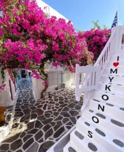 Mykonos flowers