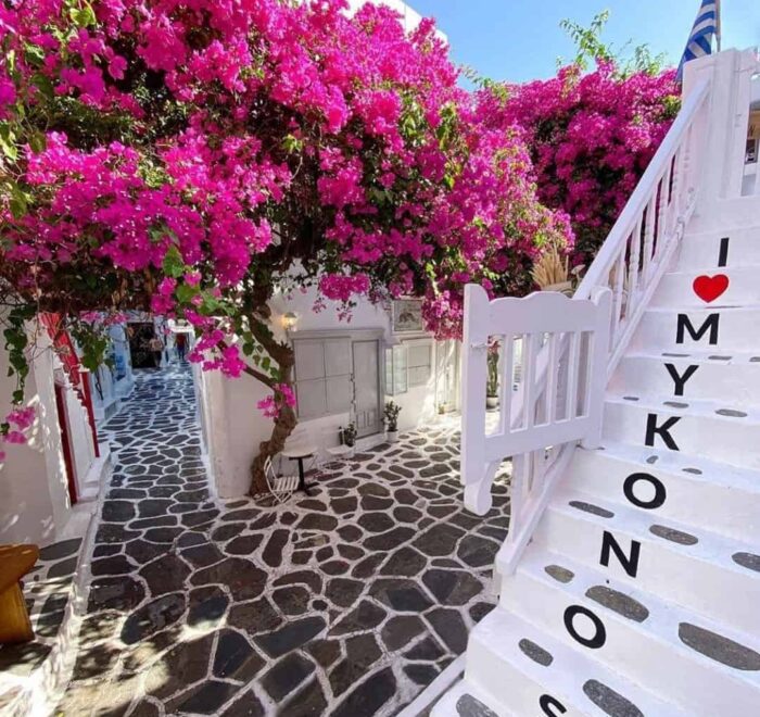 mykonos-flowers-greece-pilgrimage Mykonos flowers greece pilgrimage tour saint paul