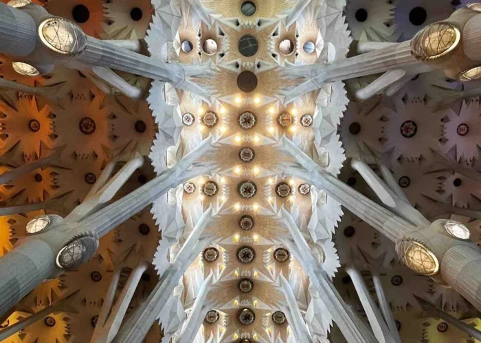 sagrada-familia-ceiling-barcelona sagrada familia ceiling barcelona spain pilgrimage tour
