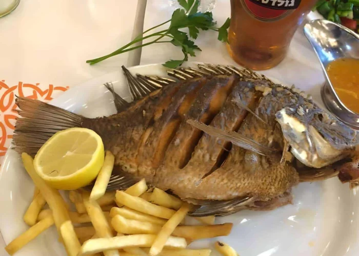 st-peter-fish-israel Saint Peter's Fish Holy Land Pilgrimage