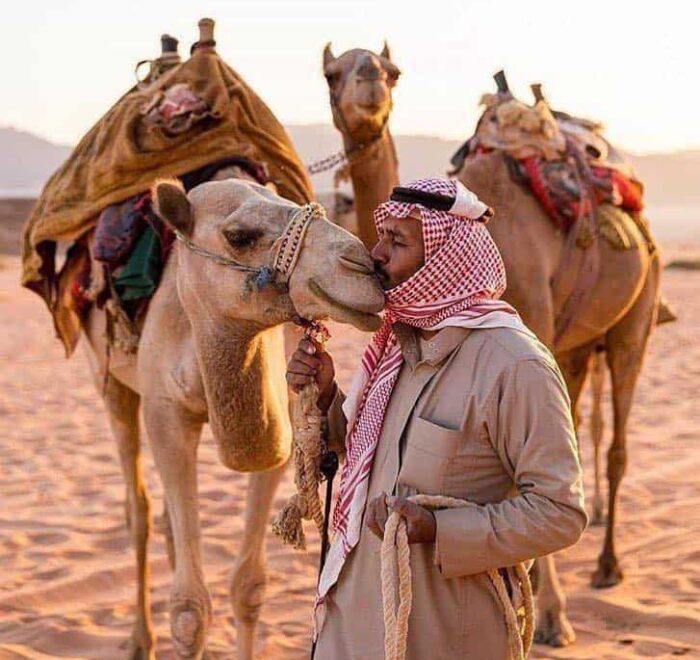 kissing-camel-jordan kissing a camel on holy land jordan pilgrimage tour