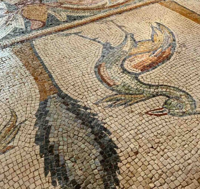 madaba-mosaic Madaba Mosaic Jordan holy land pilgrimage tour