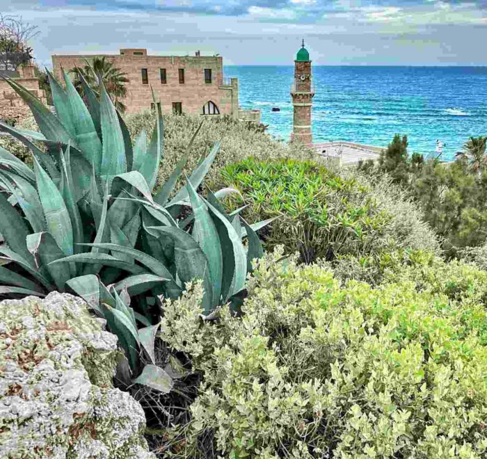 old-port-jaffa-sea old jaffa port sea holy land jordan pilgrimage tour