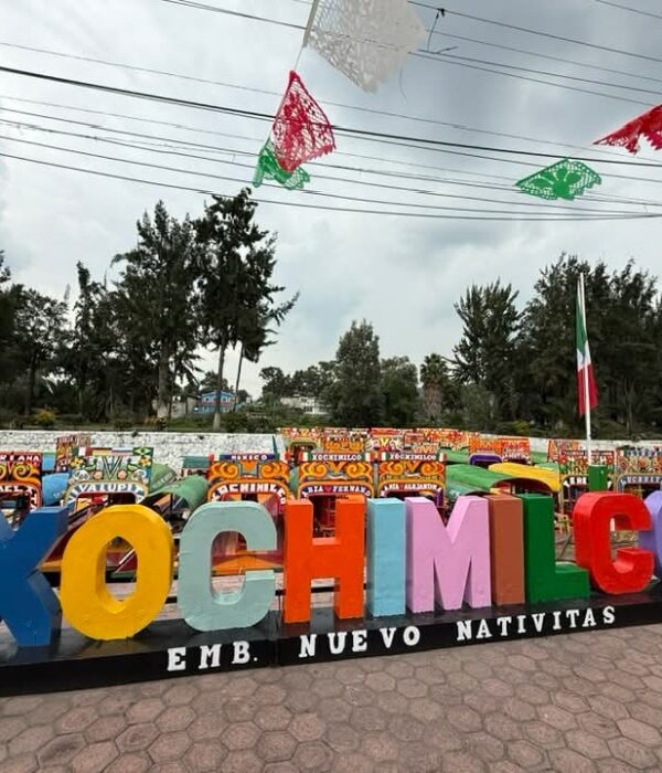 FF Mex 47
