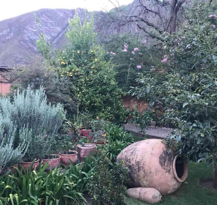hacienda-peru-garden hacienda garden peru pilgrimage