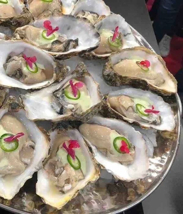 oysters-madrid oysters madrid food spain pilgrimage tour
