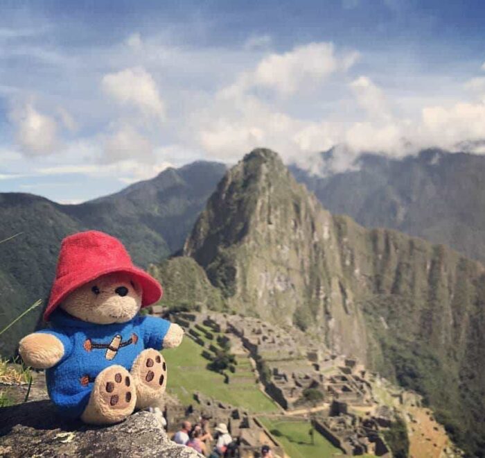 paddington-bear-peru paddington bear in peru pilgrimage tour