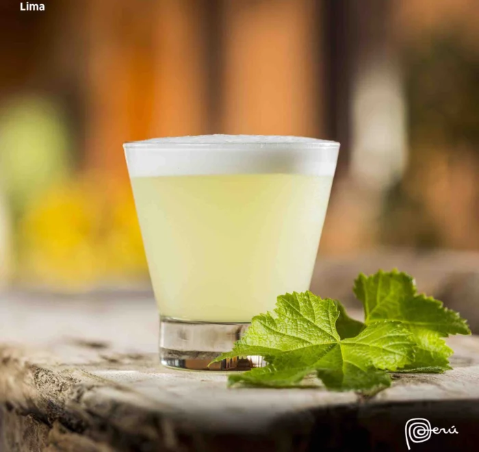 pisco-sour2 pisco sour lima peru pilgrimage tour