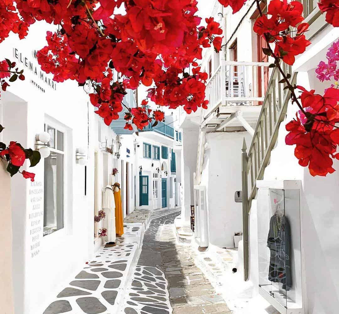 mykonos-street-flowers-greece mykonos street flowers pilgrimage