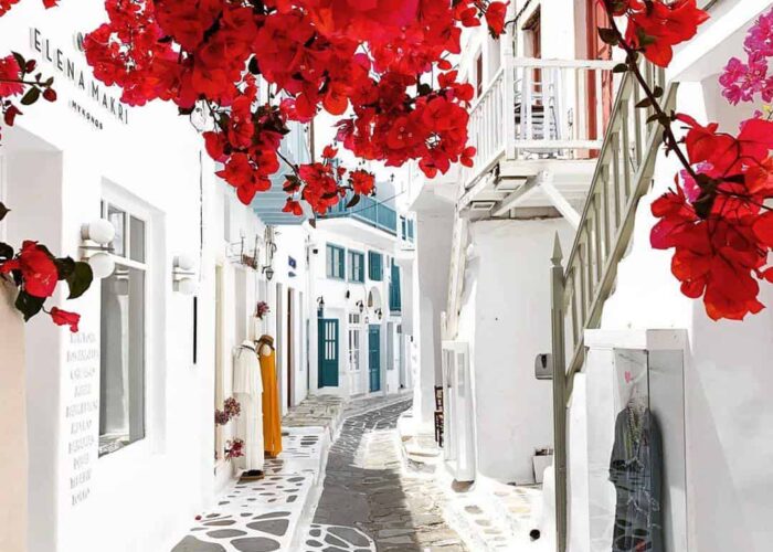 mykonos-street-flowers-greece mykonos street flowers pilgrimage