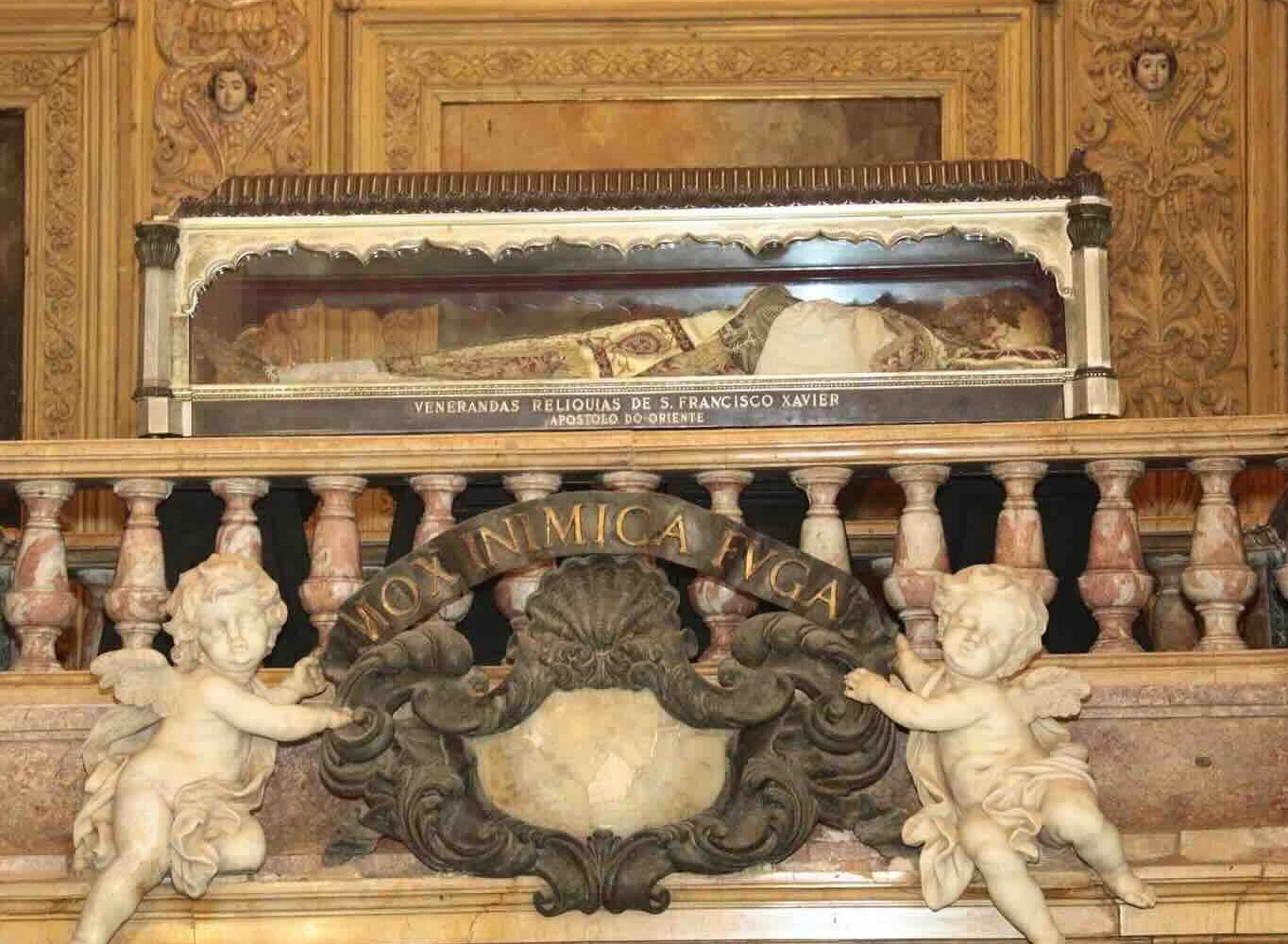 st-francis-xavier-india-pilgrimage remains of st. francis xavier india