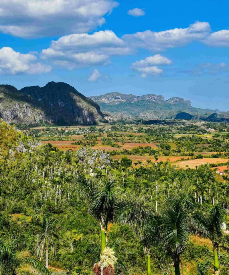vinales-cuba-tour vinales cuba tour