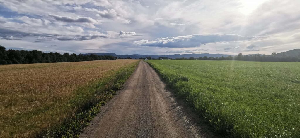 st-olav-way-path path st olav way